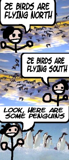 A FRENCH MAN FILMS BIRDS AND IT IS TOTALLY AWESOME